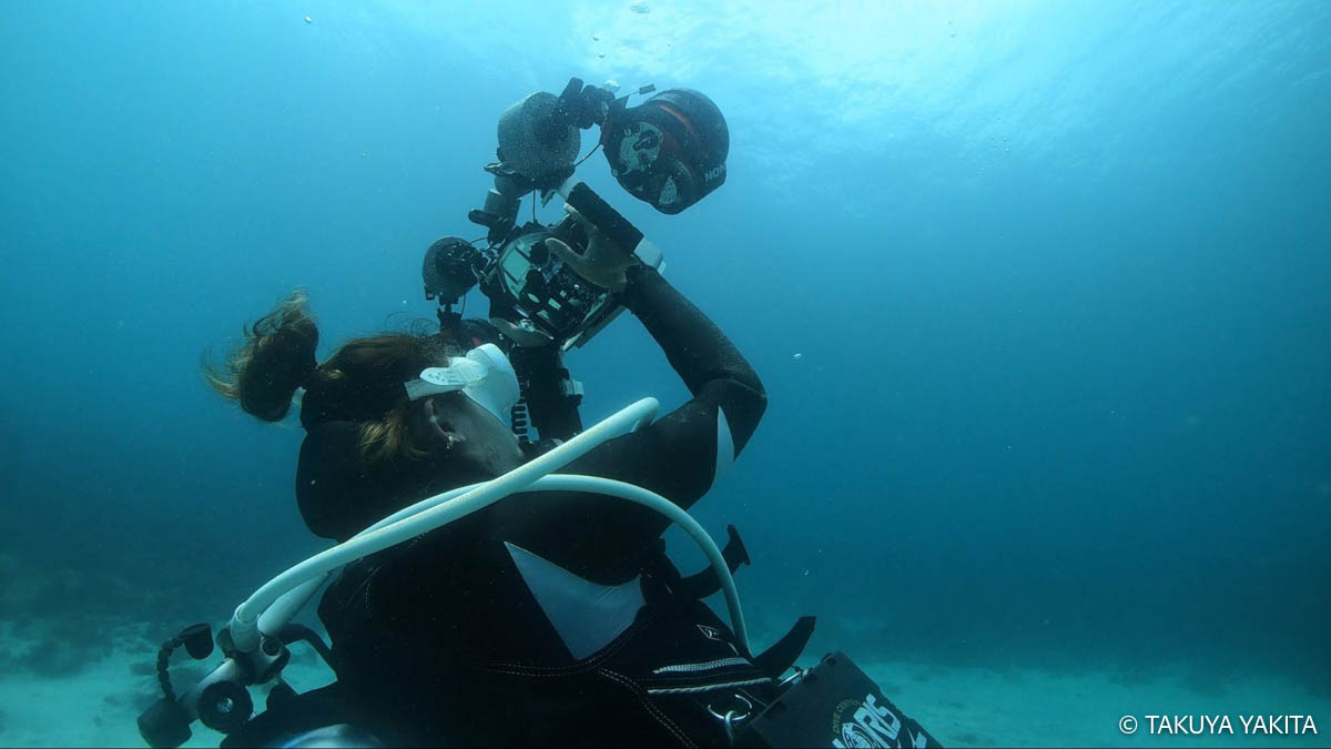 写真・動画制作